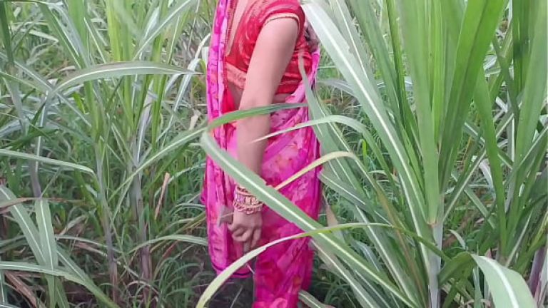 Indian beautyful bhabhi outdoor sex Hindi